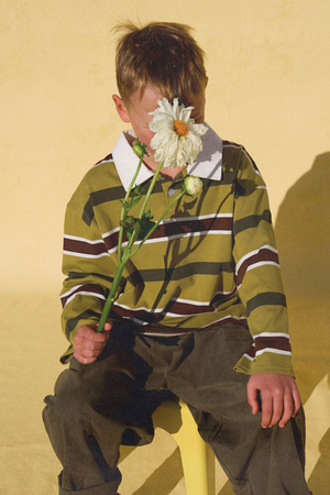 Rae Rugby Jersey Avocado Stripe