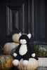 Checkers The Cat Black