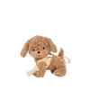 Dinkum Dog - Goldie