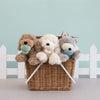 Binky Puppy - Benny