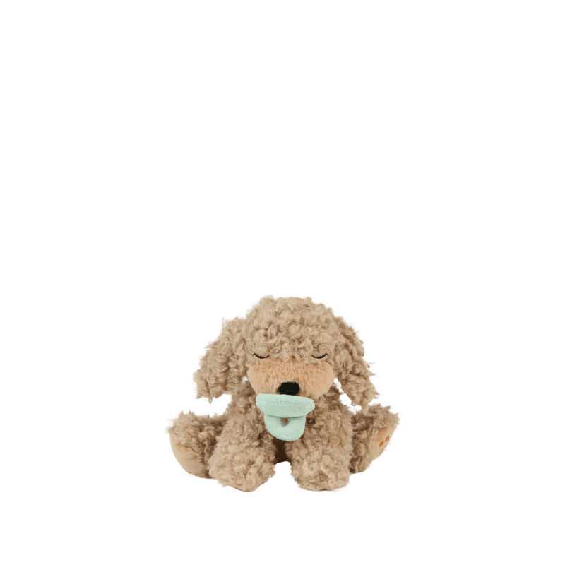 Binky Puppy - Benny