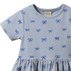Saturday Dress Ribbons