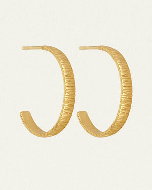 Agave Hoop Earrings Gold