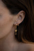 Eros Studs