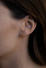 Eros Studs