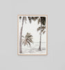 Island Hammock R/Frame