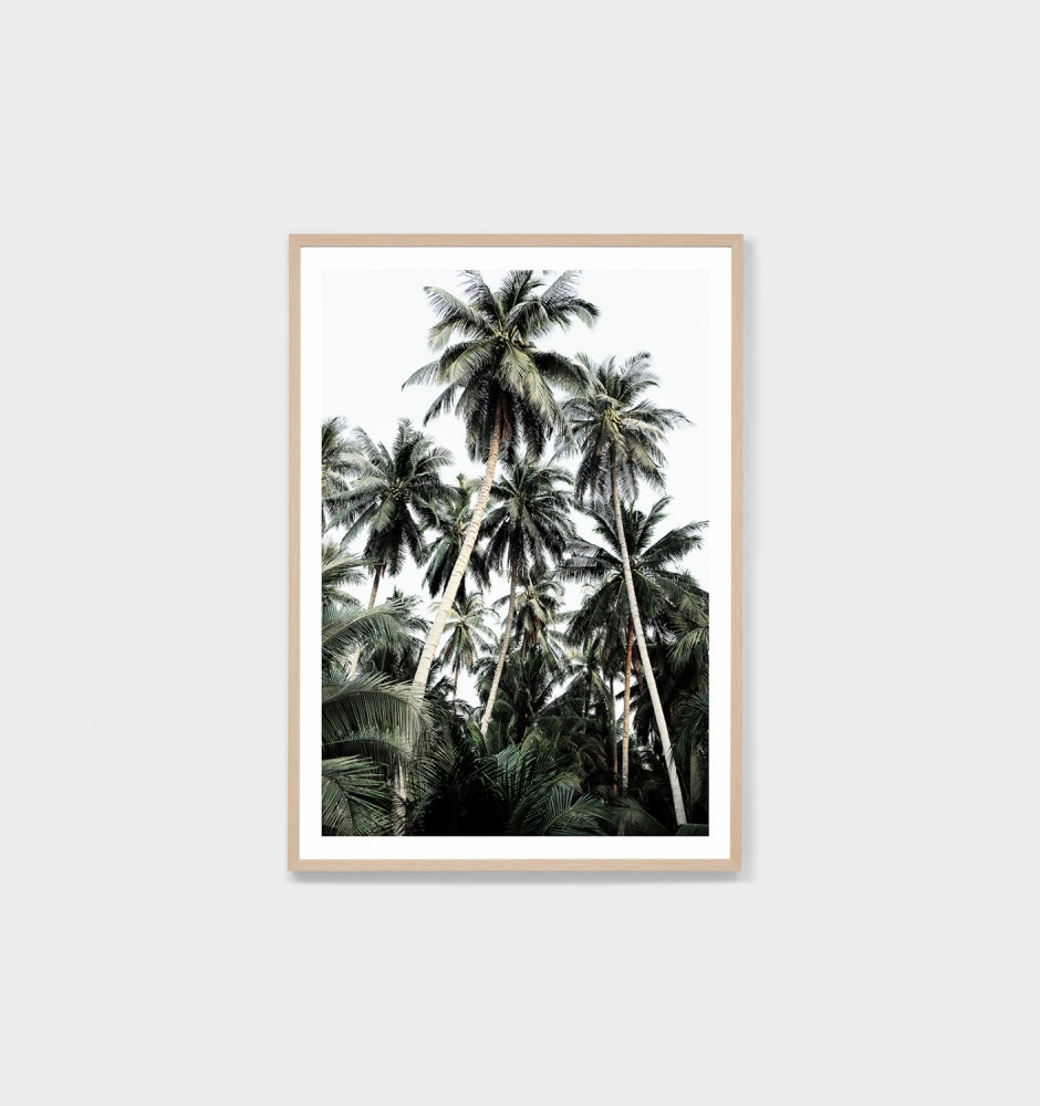 Palm Jungle Raw Frame