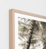 Peaceful Palms Raw Frame