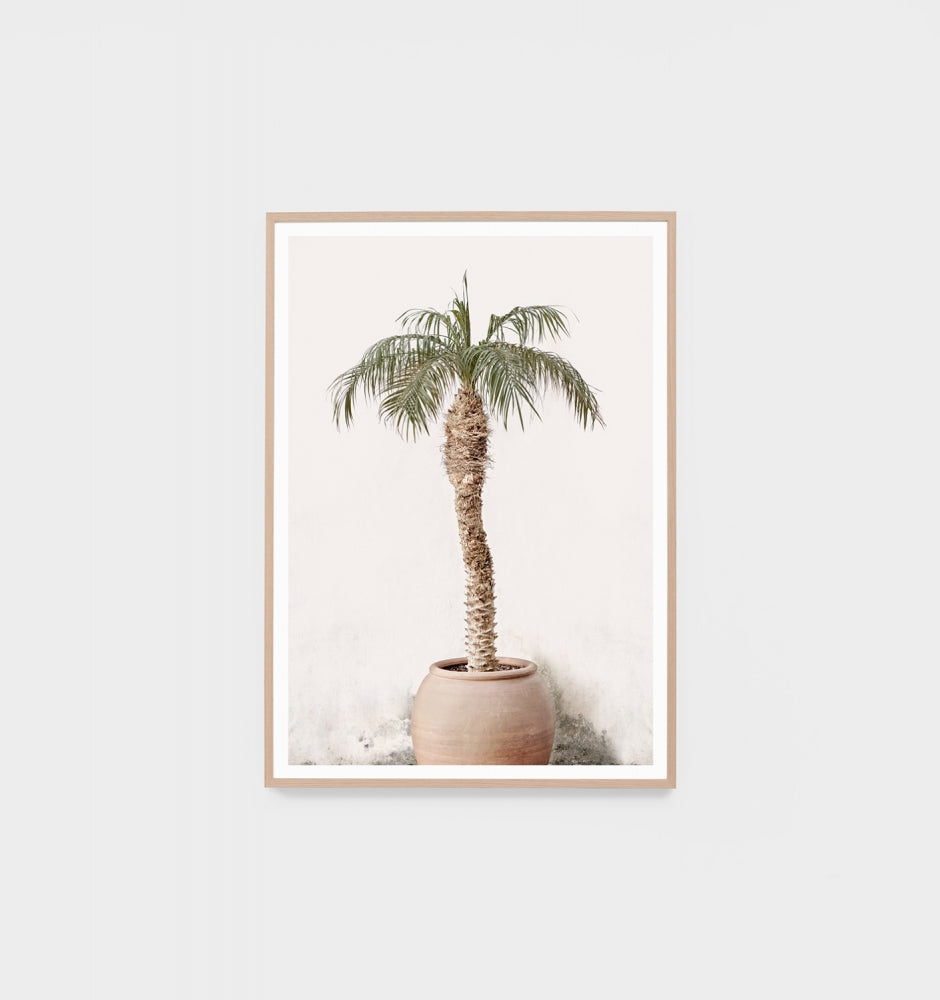 Potted Palm Raw Frame