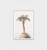 Potted Palm Raw Frame