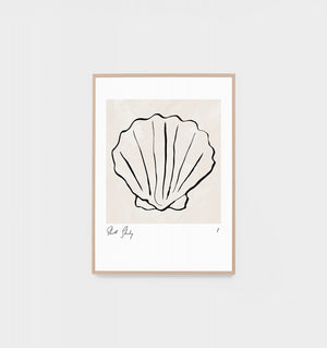 Shell Study 1 Raw Frame