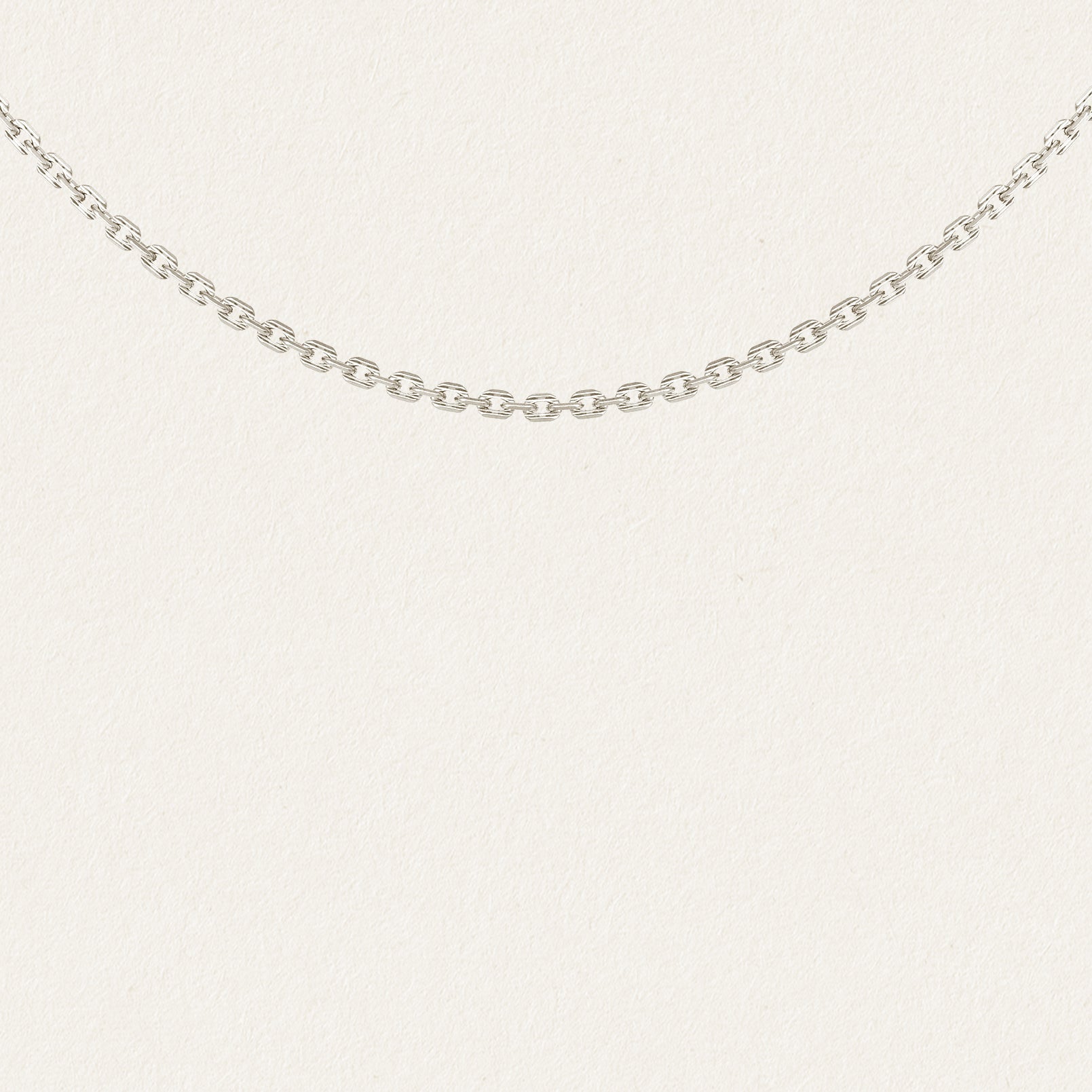Dante Chain Necklace Silver