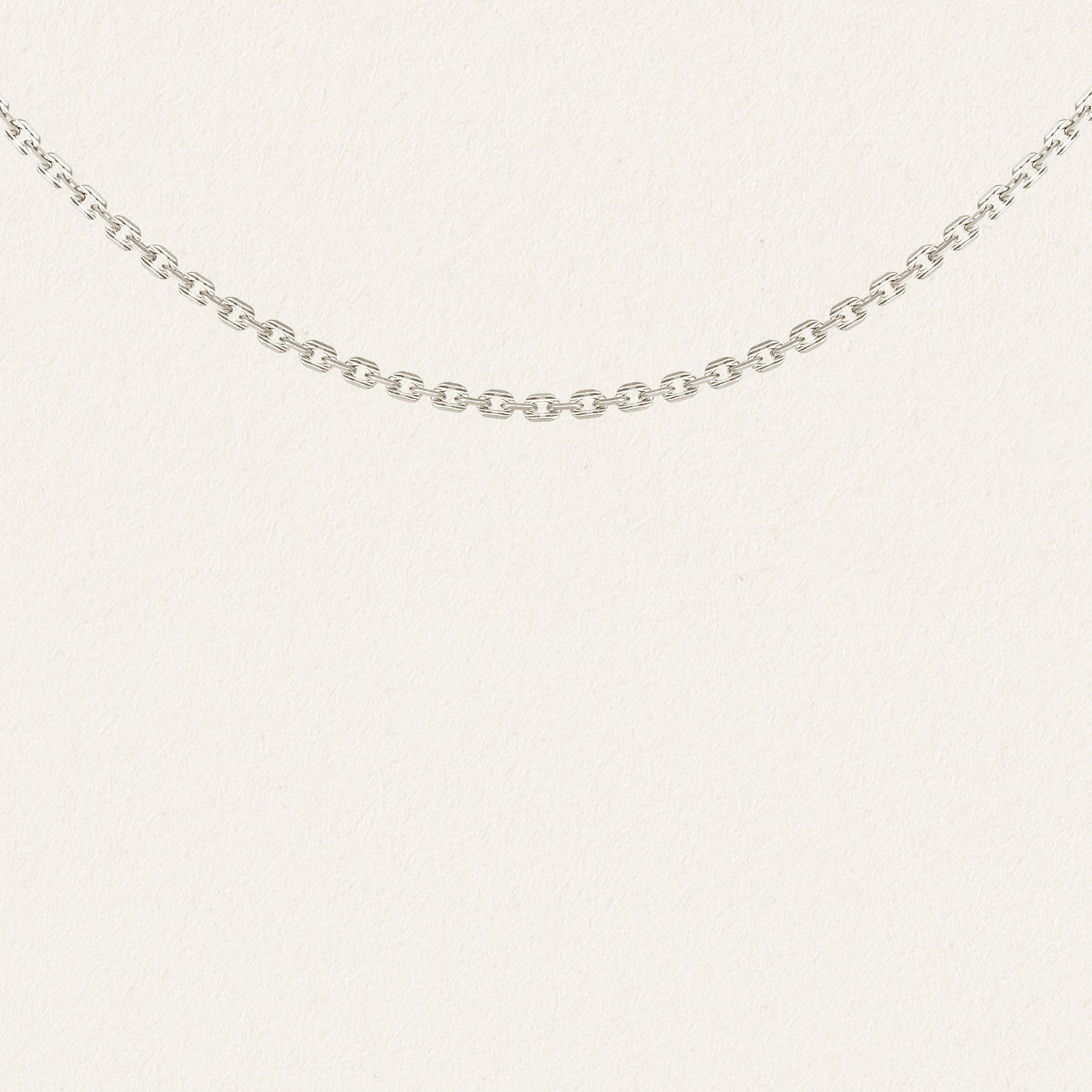 Dante Chain Necklace Silver